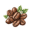 BeanMap logo